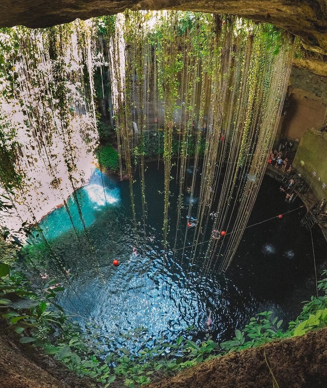 Chichén Itzá y Selva Maya