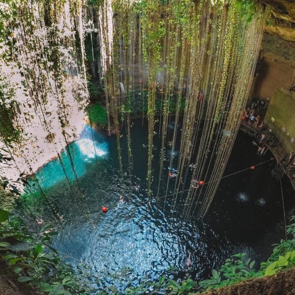 Chichén Itzá y Selva Maya